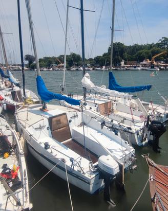 barca a vela PIVIERE 