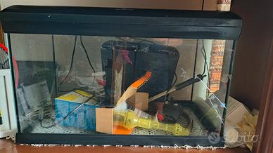 Acquario completo 