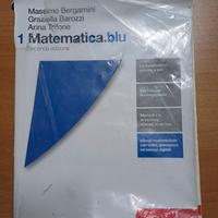 Matematica Blu 1