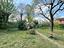 Immagine 12