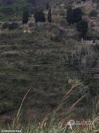 Terreno in contrada Messinese rif. AZO-5025