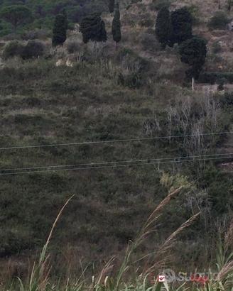 Terreno in contrada Messinese rif. AZO-5025