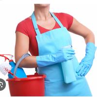 Pulizie Appartamenti + stiro