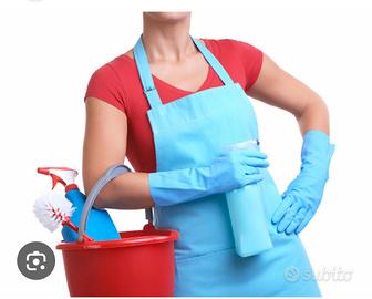 Pulizie Appartamenti + stiro