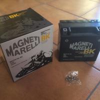 Batteria Magneti Marelli MOTX14L-BS YTX14L-BS