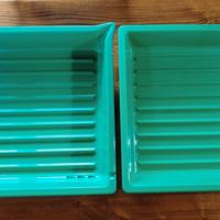 Vaschette per sviluppo fotografie 