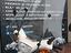 Immagine 12