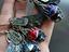 Immagine 1