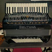 Fisarmonica beltuna