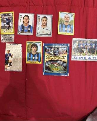 Calciatori Panini 2008-2009