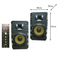 Casse karaoke 300w di rms con Bluetooth radio usb