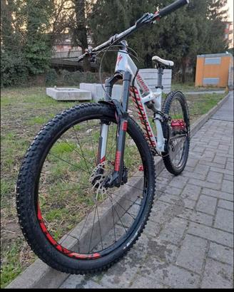 MTB specialized ammortizzata