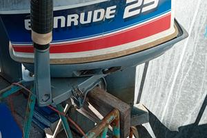 motore evinrude 25 