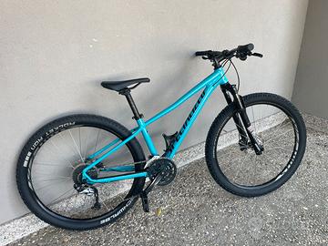 Mtb Specialized - Tg S