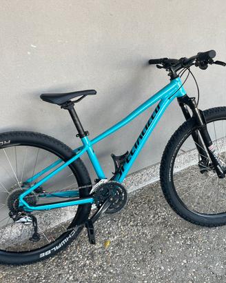 Mtb Specialized - Tg S