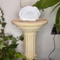 Ciotola Acqua Rettili