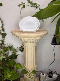 Ciotola Acqua Rettili