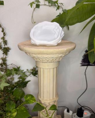 Ciotola Acqua Rettili