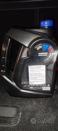 olio xd 50 evinrude 1 gallone