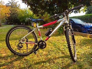 MTB marca Hornet - Ammortizzata, Cambio Shimano