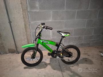 bici bambino Kawasaki mtb