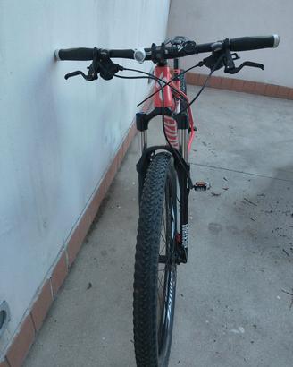 Bici Mountain bike 