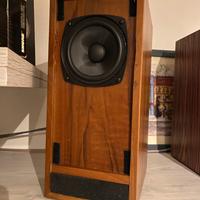 Diffusori artigianali con altoparlante full range