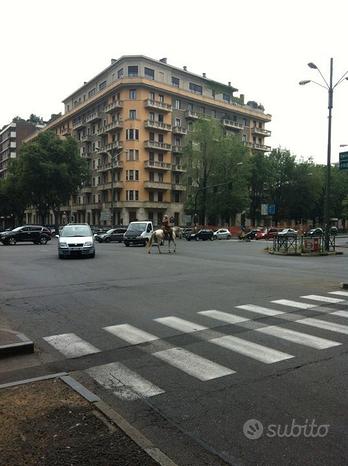 Bilocale Piazza Rivoli