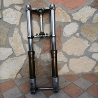 Forcella e piastre Honda CBR 900