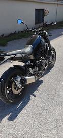 Benelli Leoncino 500