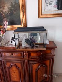 acquario per i pesci