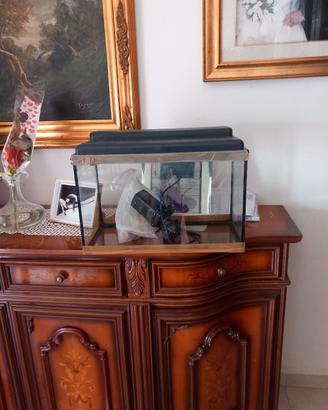 acquario per i pesci