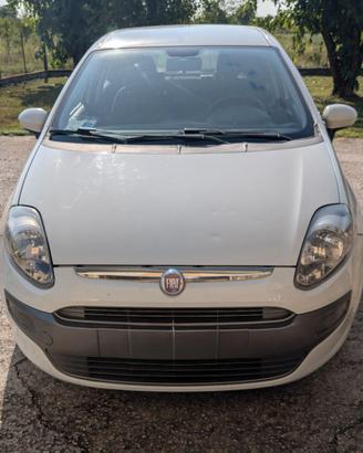 fiat punto evo