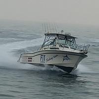 Grady white marlin 28