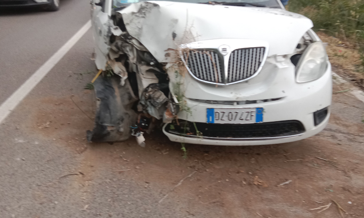 Lancia y ecoscik 2009 gpl