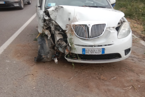 Lancia y ecoscik 2009 gpl