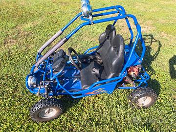 Quad buggy 50
