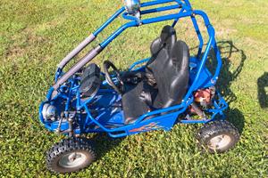 Quad buggy 50