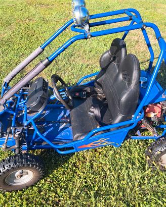 Quad buggy 50