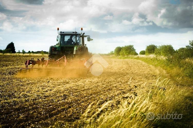 TER. AGRICOLO A COLOGNO AL SERIO - Vista 2