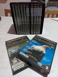Videoenciclopedia della cacci 12 DVD