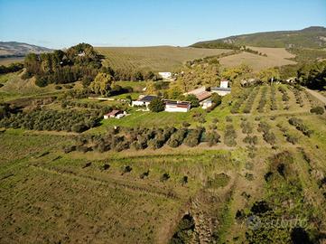 Rif. 03e - az. agricola diga san giuliano
