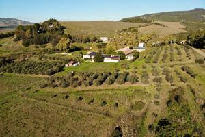 Rif. 03e - az. agricola diga san giuliano