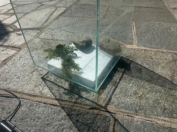 Acquario per pesci rossi