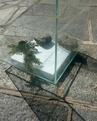 Acquario per pesci rossi