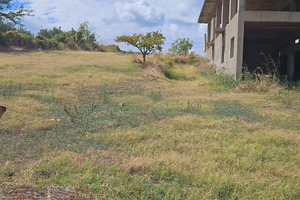 Terreno di 6000 mq con villa allo stato rustico