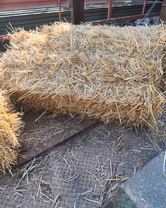 ballette di paglia di orzo 