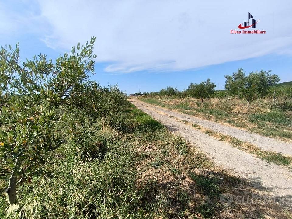 Terreno di 5000 m² a Alcamo - Vista 4