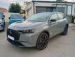 Ds DS 7 Crossback 1.5 BlueHDi 130cv EAT8 Esprit de