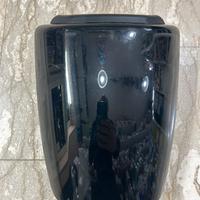 Monoposto triumph 955 i